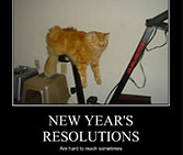 New Year's Resolution: cat on exercise bike